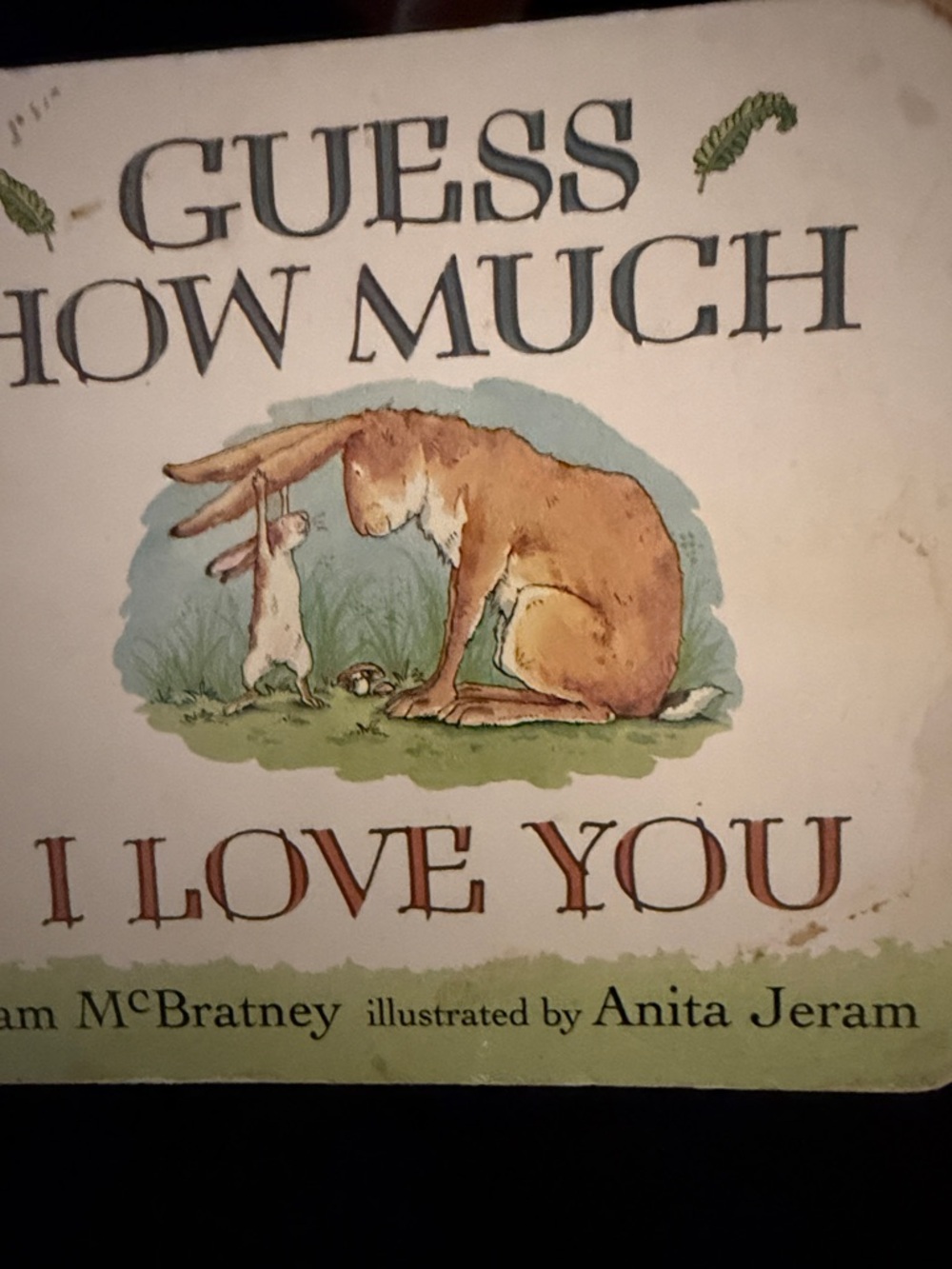 Guess Illustrated Children’s Book Cover with Brown & Cream Hare Artwork
